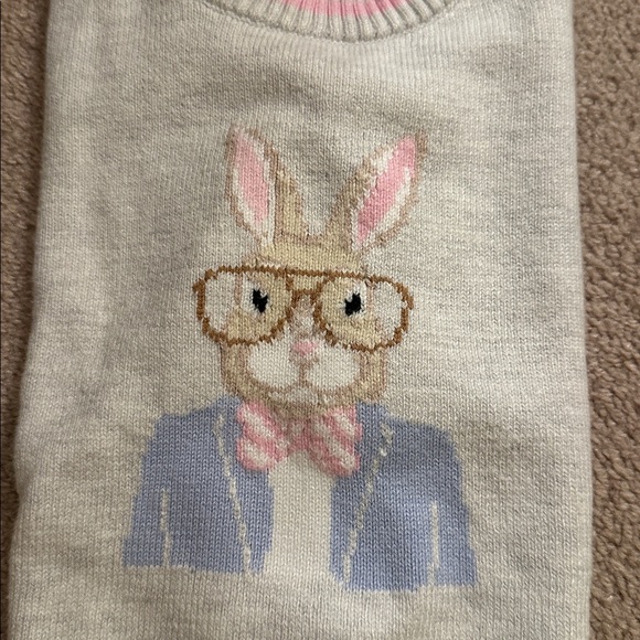 🛍️SALE🛍️ Janie and Jack Kids Grey Heather and Pink Sweater with Bunny Design - Picture 6 of 8